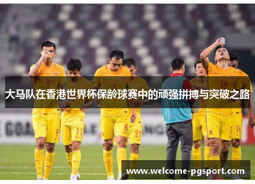 大马队在香港世界杯保龄球赛中的顽强拼搏与突破之路