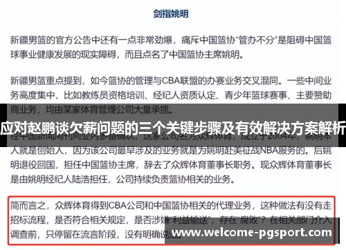 应对赵鹏谈欠薪问题的三个关键步骤及有效解决方案解析