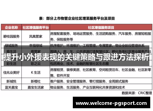 提升小外援表现的关键策略与跟进方法探析