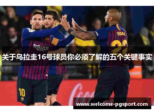 关于乌拉圭16号球员你必须了解的五个关键事实