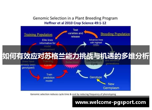如何有效应对苏格兰能力挑战与机遇的多维分析