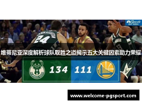 维蒂尼亚深度解析球队取胜之道揭示五大关键因素助力荣耀