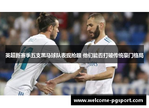 英超新赛季五支黑马球队表现抢眼 他们能否打破传统豪门格局