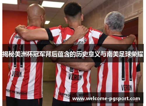 揭秘美洲杯冠军背后蕴含的历史意义与南美足球荣耀