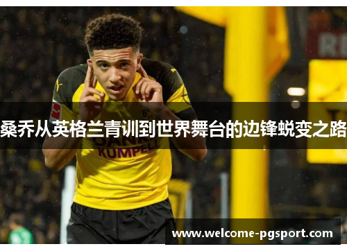 桑乔从英格兰青训到世界舞台的边锋蜕变之路 桑乔从英格兰青训到世界舞台的边锋蜕变之路